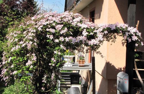 Igersheim Apartment | BellaIris