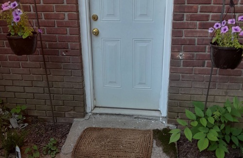 Saratoga Springs Apartment | BELMONT RENTAL ONE OF A KIND! Backs up on OK Training Track.