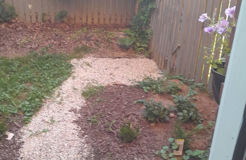 Saratoga Springs Apartment | BELMONT RENTAL ONE OF A KIND! Backs up on OK Training Track.