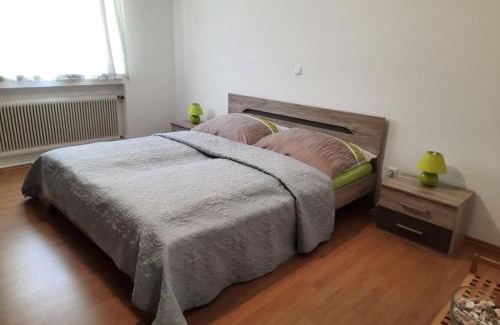 Golling an der Salzach Apartment | Bergblick