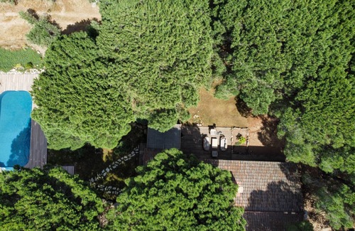 Porto-Vecchio House | Bergerie avec piscine situé en plein coeur d'une oliveraie