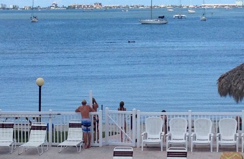 Bayview Condo | BERMUDA BAY BEACH CLUB, SAINT PETERSBURG,FL