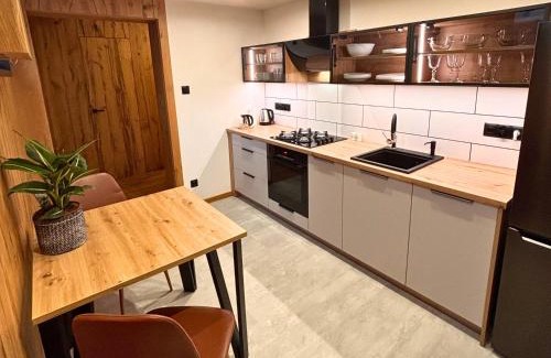 Wegierska Gorka Apartment | Beskidy Basement Studio