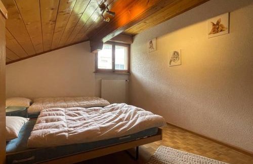 Miege Apartment | Besso Miège Spacieux, situation idéale pour visiter le Valais