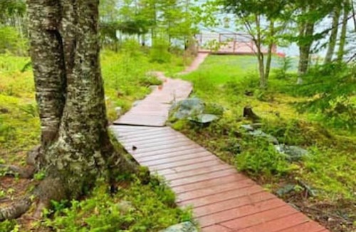 Brigus Junction Cottage | ★BEST VIEW Wonderland ★ Cozy Cabin on Pond