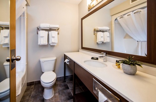 Moncton Hotel | Best Western Plus Moncton