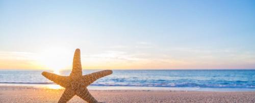 Biloxi Apartment | Biloxi Beach Condo-B
