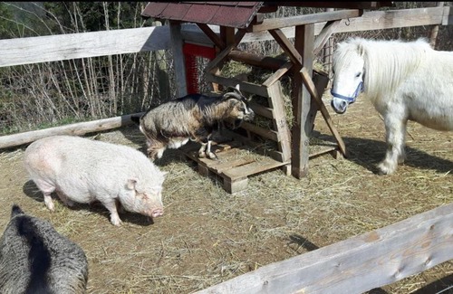 Stubenberg Apartment | Biohof Laibacher