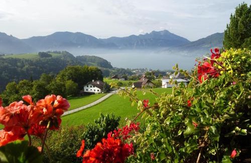Steinbach am Attersee House | Biohof Schwanser