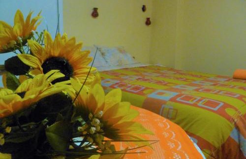 Coripata House | BiosWild