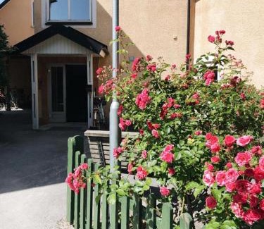 Visby Apartment | Birkagatan - Visby Lägenhetshotell