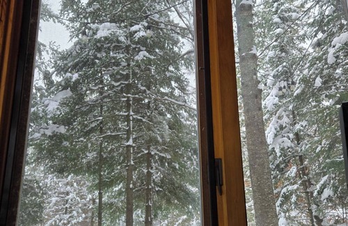 Frederic Cabin | Black Bear Lodge: Savor Autumn's Beauty at Black Bear Lodge – Reserve Now!