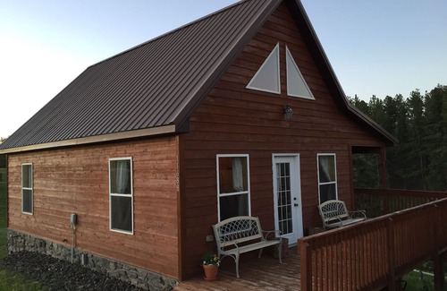 Hill City Cabin | Black Hills Forest Edge Cabin