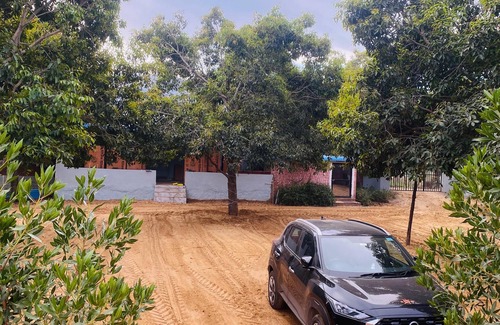 Pushkar Resort | Blackberry Resort