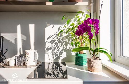 Drumul Taberei Apartment | Blissful Retreat Apartment
