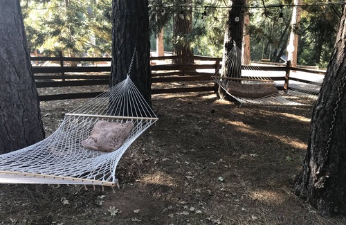 Nevada City House | Bloomfield in the woods with sauna