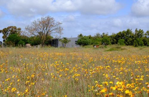 Saldanha Bay House | Blue Sky Retreat