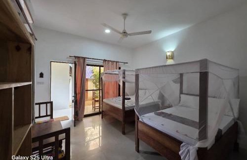 Nungwi Hotel | Blue Tides Hotel