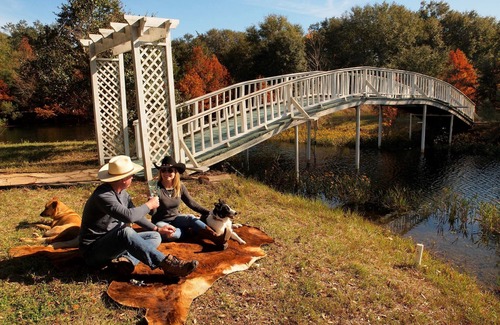 Cat Spring House | Bluebonnet Bungalow with a Hot Tub & options to enjoy fun Exotic Animal Safari!