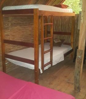 Palomino Hotel | Bob Marley Beach