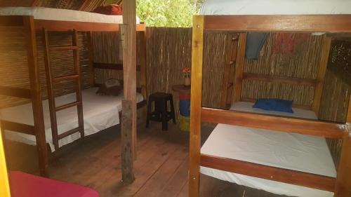 Palomino Hotel | Bob Marley Beach