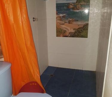 Palomino Hotel | Bob Marley Beach