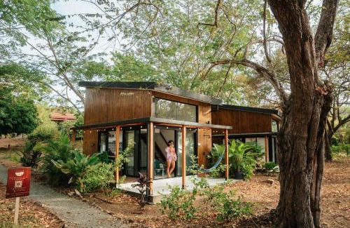 Las Escobas del Venado Apartment | Body - Oceanfront Jungle Loft
