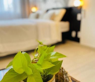 Porto Maravilha Apartment | Boho Chic Centro do RJ Apart Inteiro