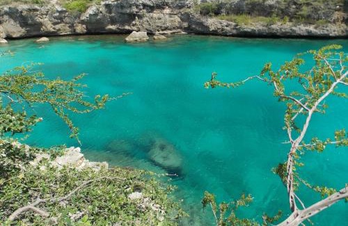 Lagun Apartment | Bon Bini Lagun Curacao