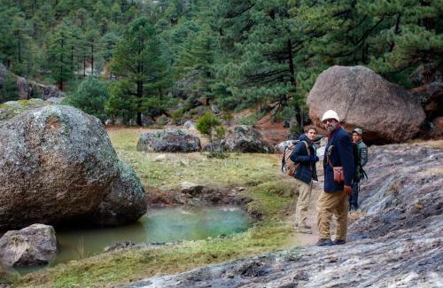 Cusarare Hotel | Bosques