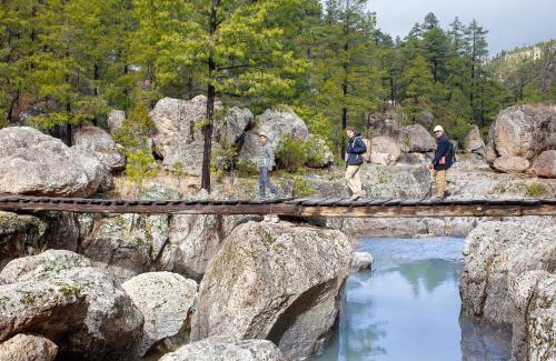 Cusarare Hotel | Bosques
