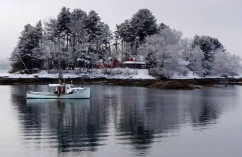 Freeport Cabin | Bowman Island rustic sea cabin/ “glamping” getaway