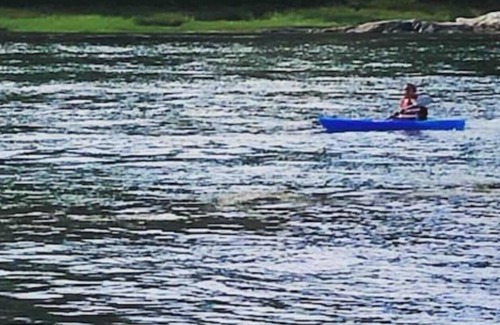 Freeport Cabin | Bowman Island rustic sea cabin/ “glamping” getaway