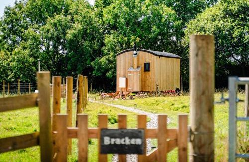 Brazzacott House | Bracken