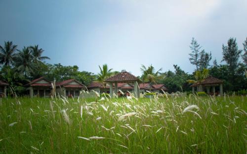 Diamond Harbour Resort | Breathing Earth - Rooms and Pool