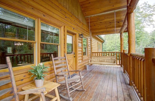 Cosby Cabin | Bring Your Dog! Heated Pool, Movie Room
