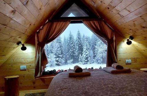 Bajina Basta House | Brvnara Miris Bora