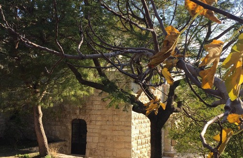 Kfoun House | *Built in 1885* Charming Home Byblos