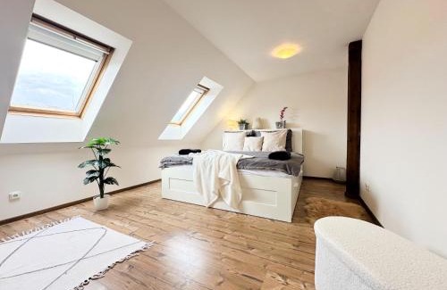 Frydek-Mistek Apartment | Byt 3kk