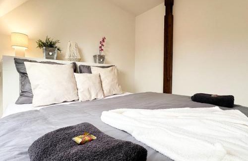 Frydek-Mistek Apartment | Byt 3kk