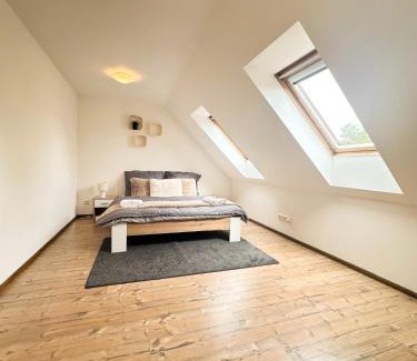 Frydek-Mistek Apartment | Byt 3kk