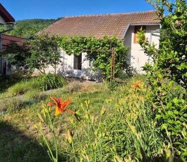 Moroeni House | Căsuța de la linie