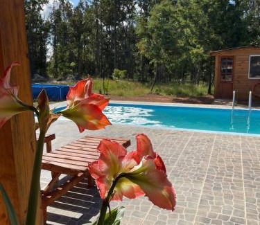 La Florida House | Cabaña Artemisa