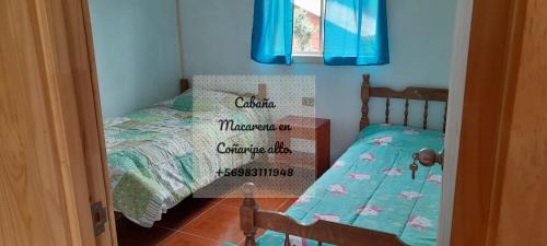 Panguipulli Apartment | Cabañas,Buena vista.