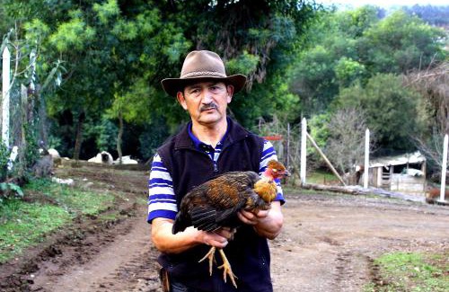 Nueva Imperial House | Cabañas Huilipan Gonzalez