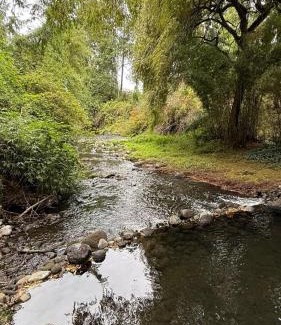 Lican Ray House | Cabañas Lagos del Sur Licanray para 2 P