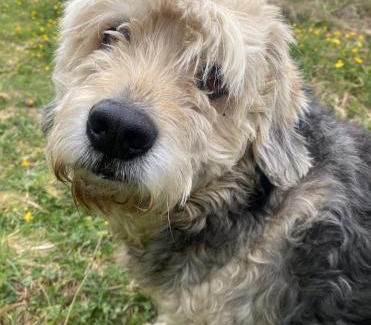 Hornopiren National Park House | Cabañas Volcán Dormido