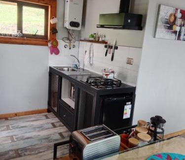 Coyhaique Other | Cabañita con o sin Tinaja Ruta657