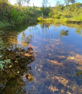 Capela Nova House | Cabana com vista para a Natureza