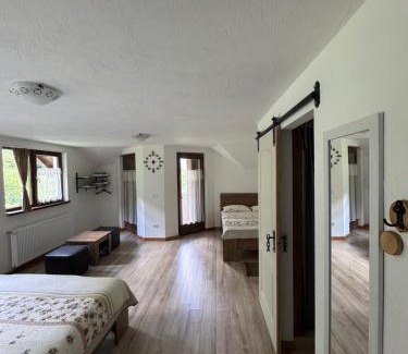 Moisei Cabin | Cabana La Poarta Codrului